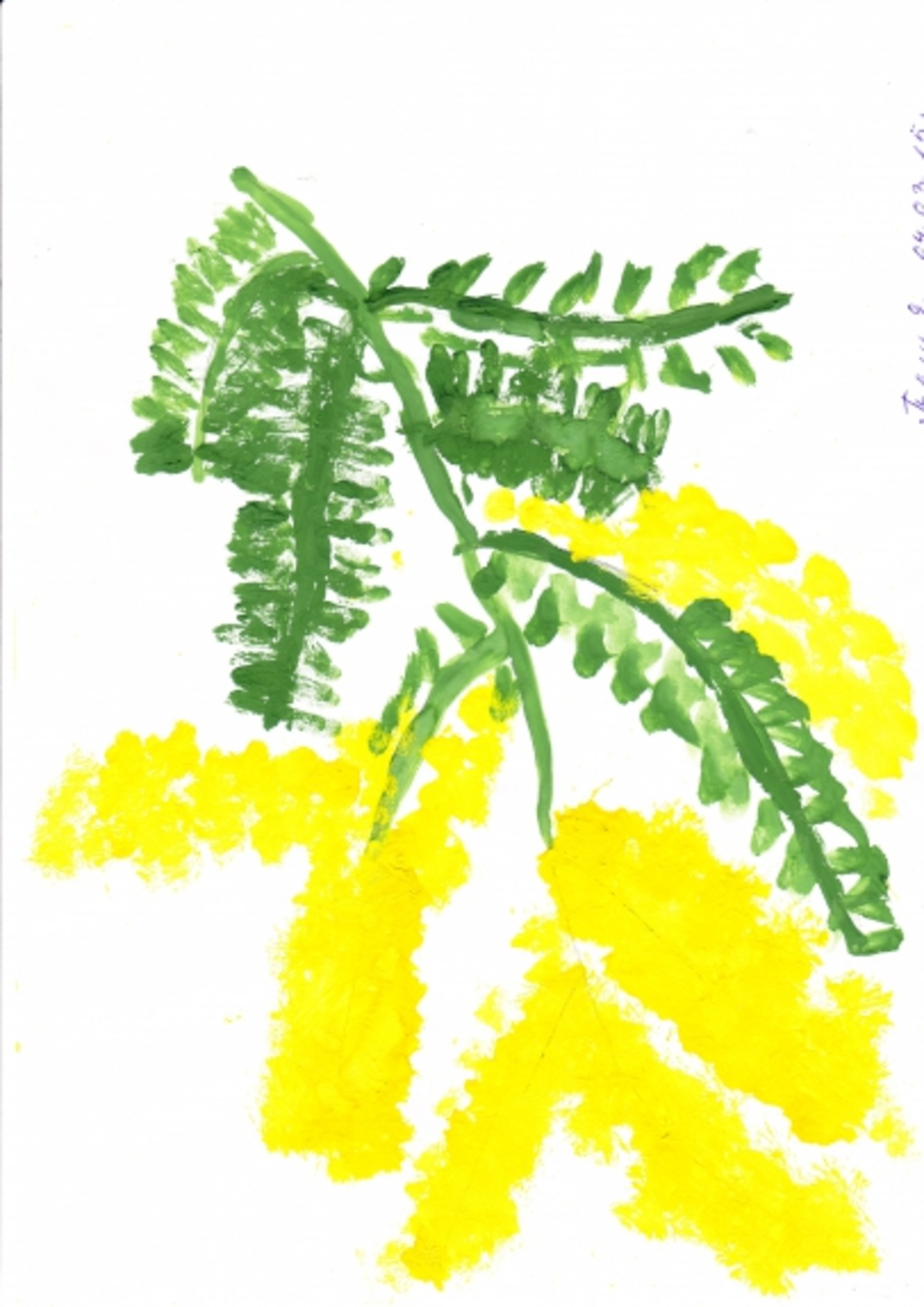 Мимоза цветок нарисовать. Колдина рисование веточка мимозы. Рисование Мимоза в средней группе. Рисование для детей средней группы Мимоза. Детские рисунки Мимоза.
