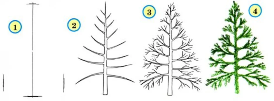 Рисунок поэтапно ели
