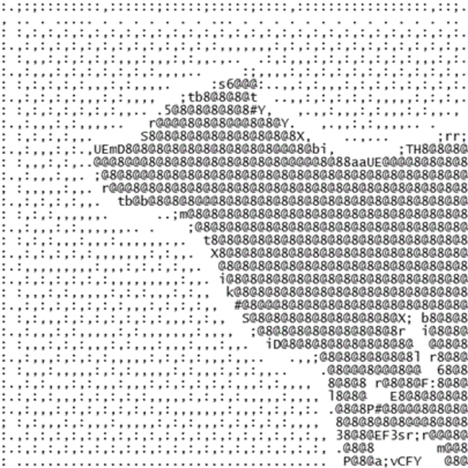 Преобразовать в символы. Рисунки символами. ASCII Art рисунки символами и знаками. Животные из знаков. Собака из символов.