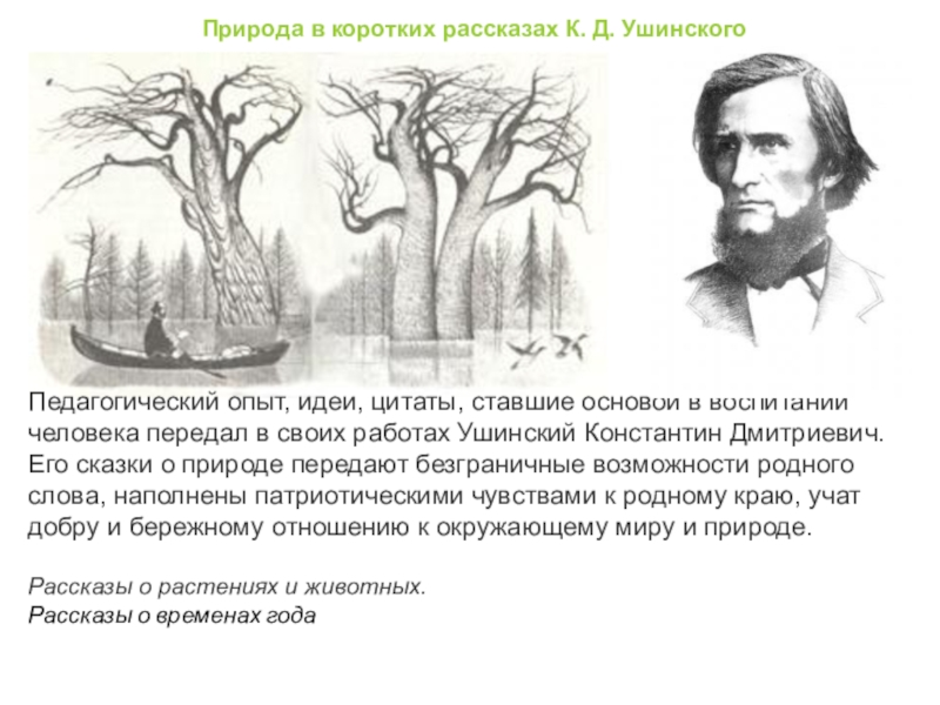 Ушинский цитаты. Ушинский Константин Дмитриевич рассказы. Ушинский Константин природа. Высказывание Константина Ушинского. Ушинский о природе.