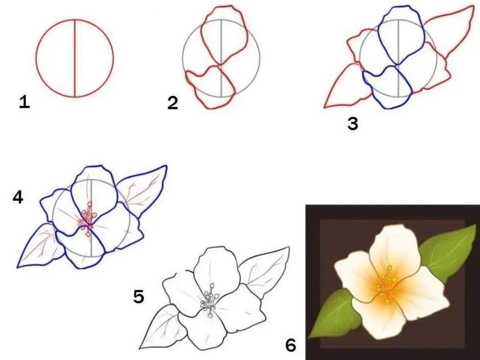 Цветы рисунок по шагам