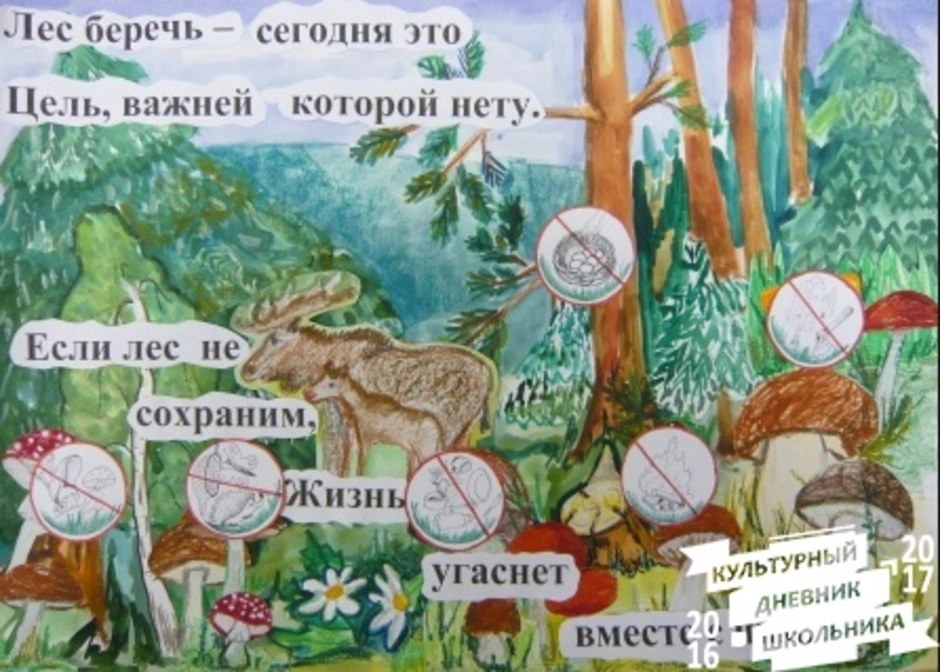 Плакат леса. Плакат на тему лес наше богатство. Плакаты с лесом. Стенгазета про лес. Слова берегите лес