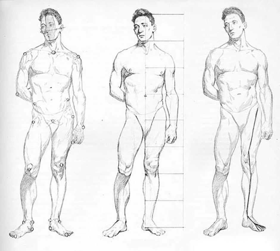 Толстый человек анатомия. Пропорции человека в полный рост референс. Фигура человека рисунок. Человеческие фигуры для рисования. Мужская фигура для рисования.