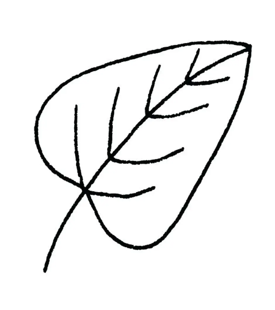 Как можно раскрасить 5 листочков. Листья раскраска. Листья рисунок. Рисование листочками. Листья для срисовки.