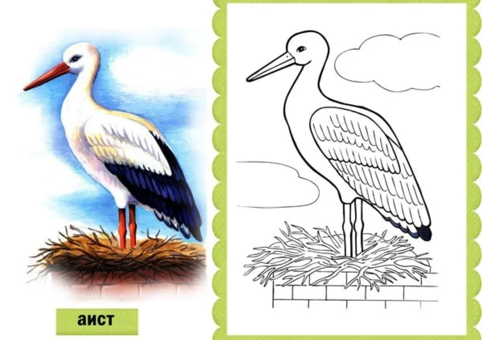 Аист рисунок 1 класс