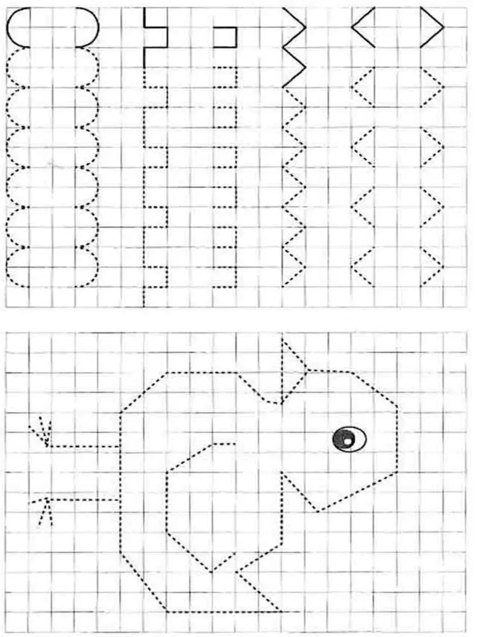 Рисуем по клеточкам для детей 5 6 лет