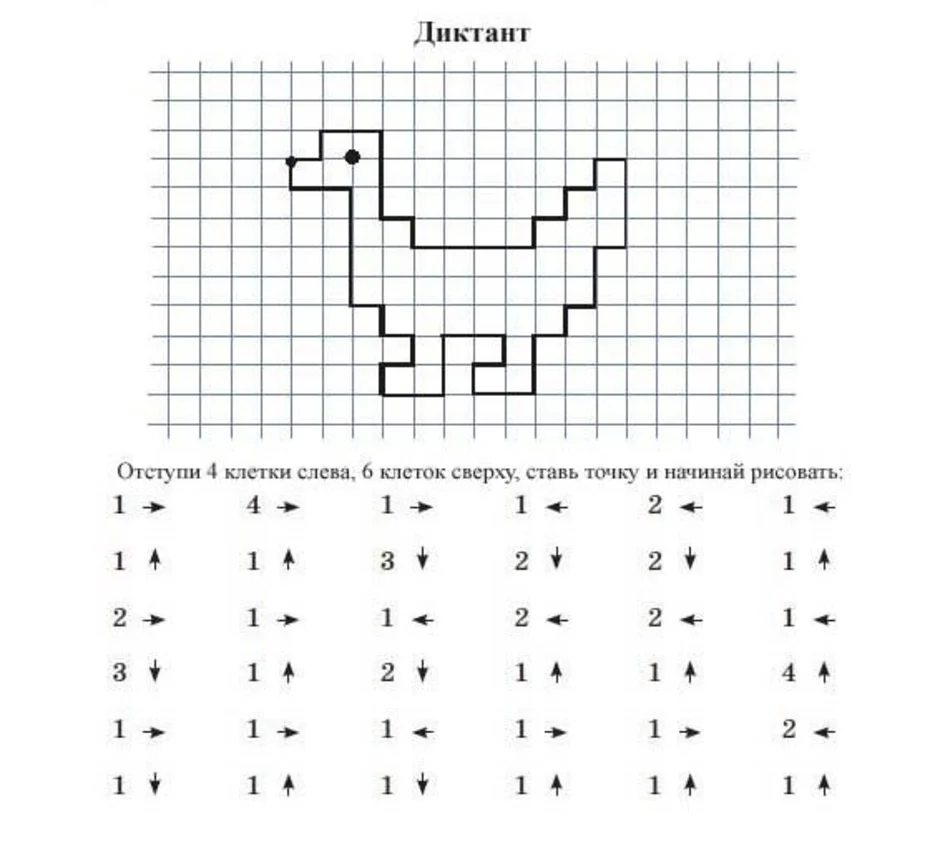 Рисунки по клеточкам и номерам