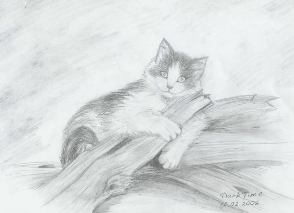 Постой рисунок. Картины карандашом. Кошка карандашом. Рисунки котов карандашом. Котик рисунок карандашом.