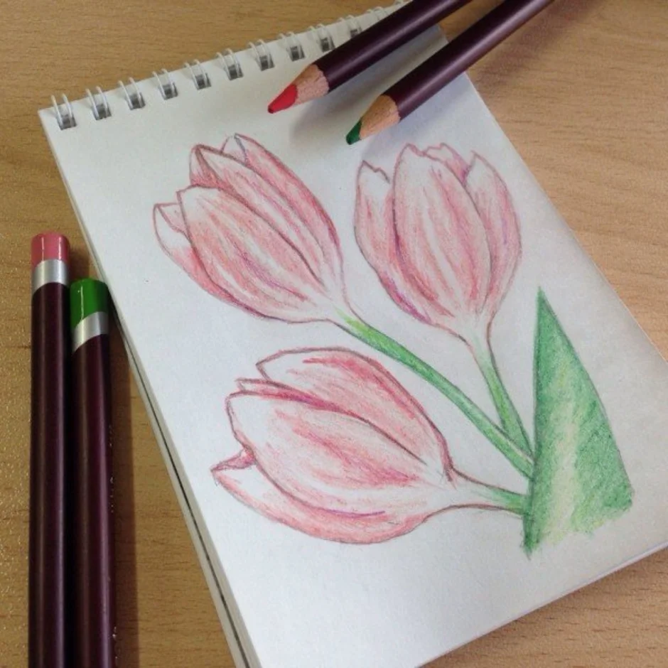 Рисование легкие красивые. Рисунки цветными карандашами. Красивые рисунки цветными карандашами. Рисунки карандашами цветными несложные. Рисунок цветными карандашами легкий.