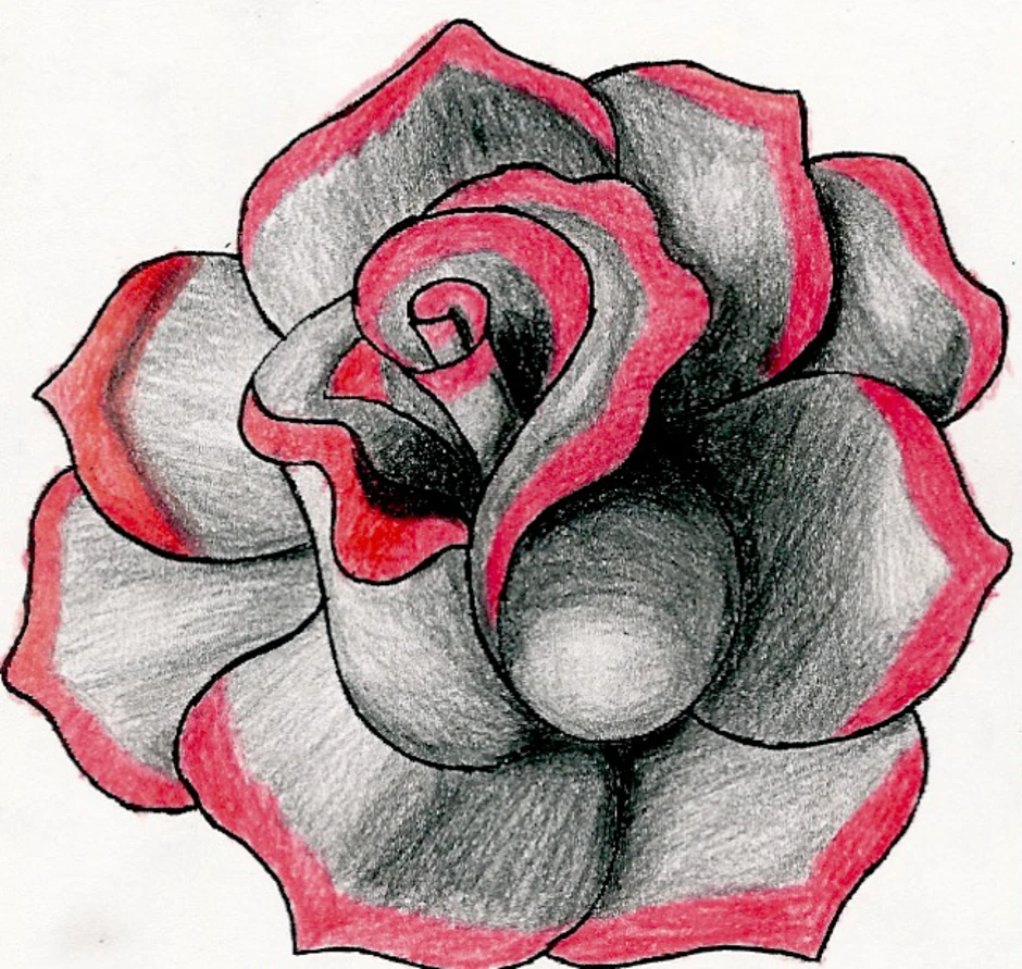 Drawn rose. Цветы для рисования. Рисунки цветов карандашом. Нарисовать розу.