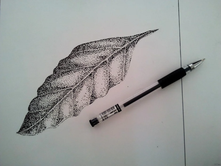 570 маленьких рисунков черной ручкой: легкие идеи для срисовки