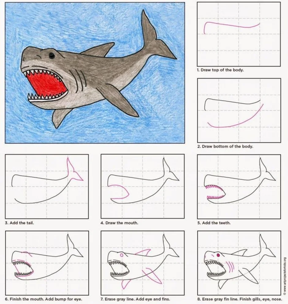 Как рисовать акулу поэтапно