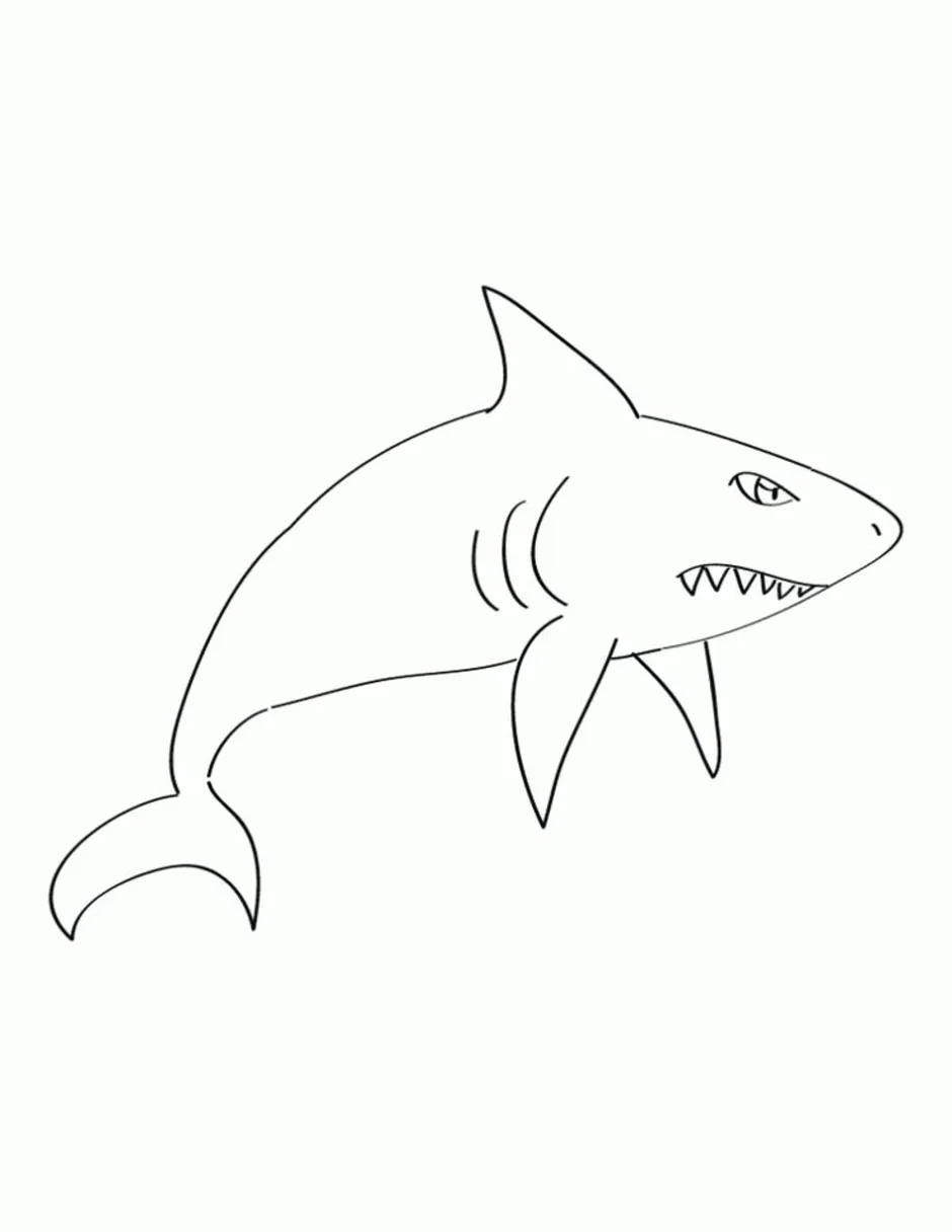 Акула Рисунок Карандашом
