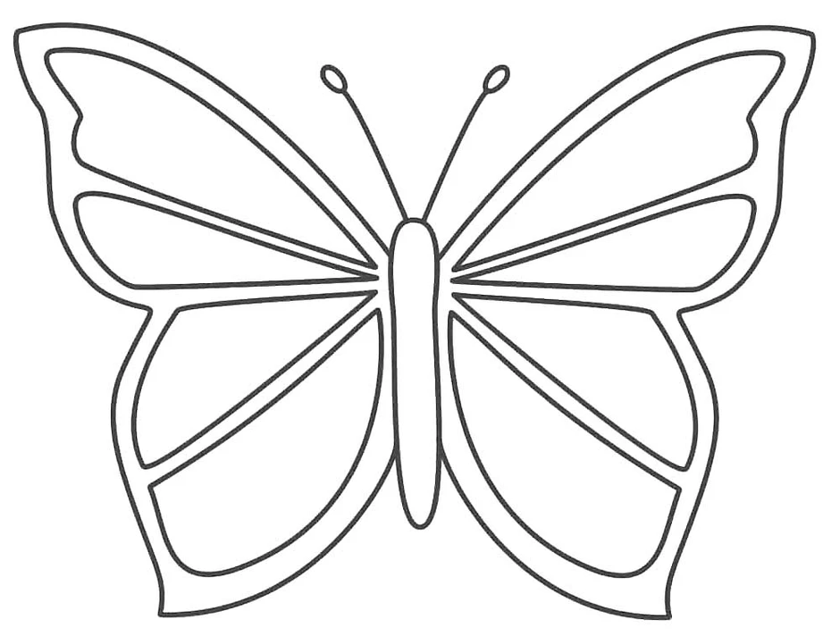 Развивающие раскраски «Бабочки» – распечатать для малышей