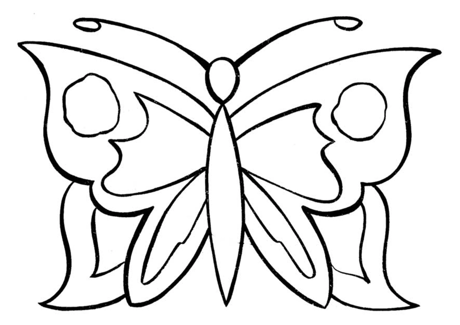 Картинка бабочки рисунок раскраска (47 фото)