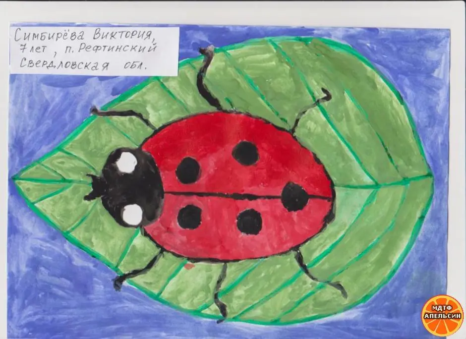 Рисование на тему насекомые в старшей группе. Детские рисунки насекомых. Рисование Божья коровка. Рисование для детей Божья коровка. Рисование насекомые старшая группа.