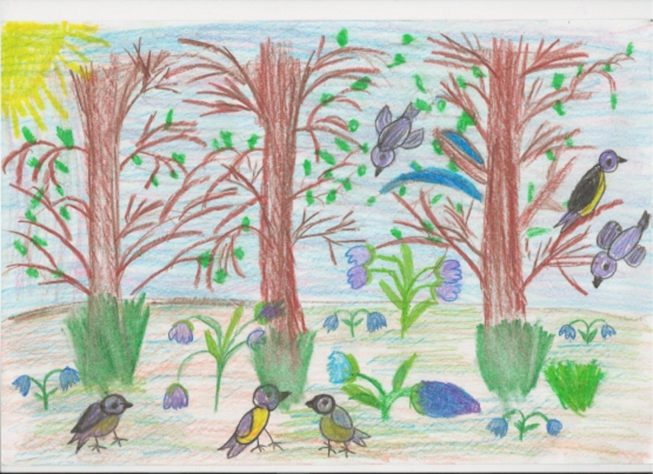 Нарисуй картинку про весну средняя группа. Рисование в средней группе на тему весенний лес. Рисование весеннего леса в подготовительной группе.
