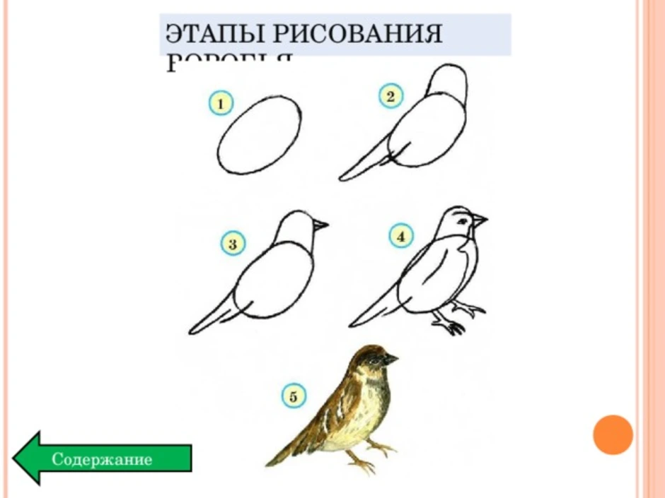 Воробей рисуем с детьми