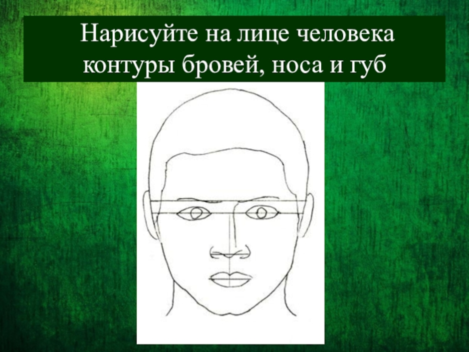 Изображение головы человека в пространстве 6. Лицо человека 6 класс изо. Пропорции лица человека 6 класс изо. Пропорции головы человека изо 6 класс. Голова человека изо 6 класс.