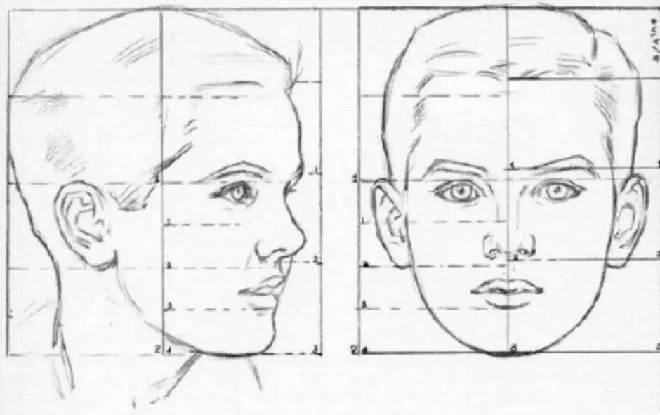 Пропорции лица человека при рисовании портрета схема