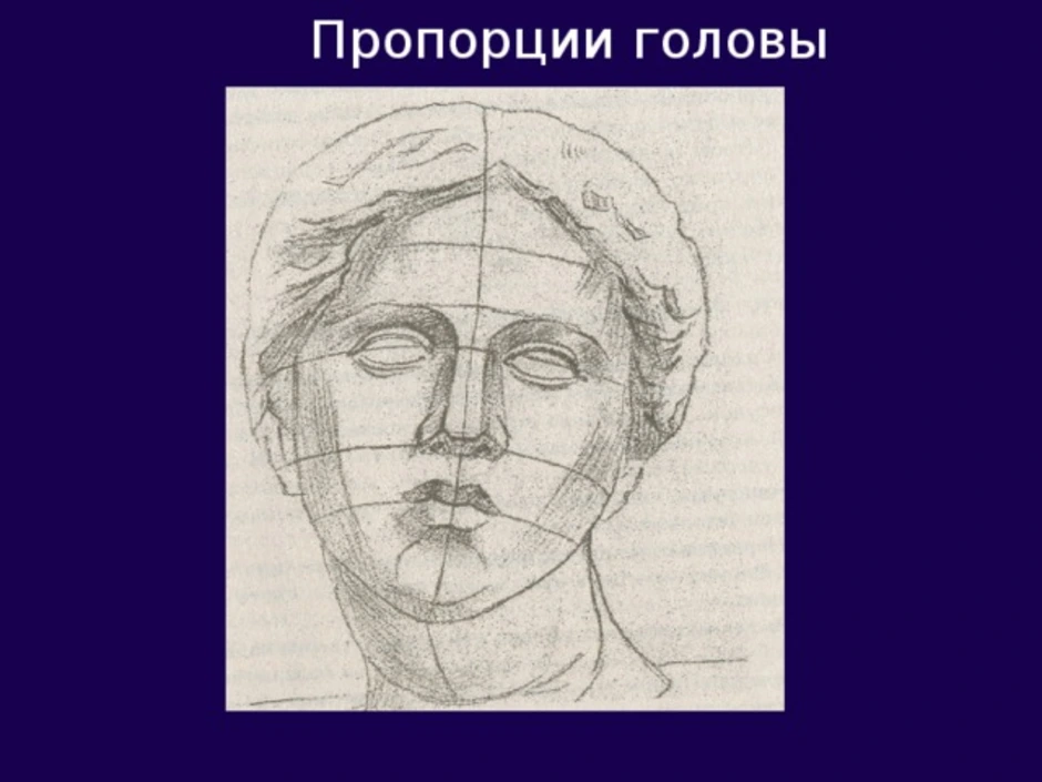 Изображение головы человека в пространстве. Конструкция головы. Пропорции головы. Портрет 20 века 6 класс изо