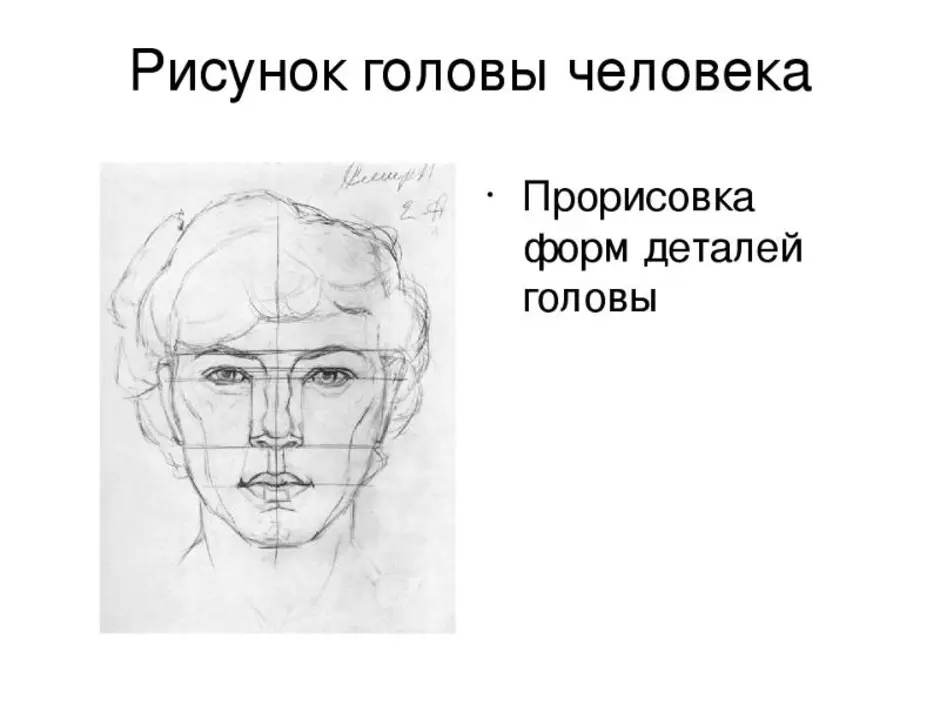 Изображение головы человека 6 класс изо. Изображение головы человека 6 класс. Рисунок головы человека изо. Рисование головы человека 6 класс. Рисование головы человека пропорции головы 6 класс.