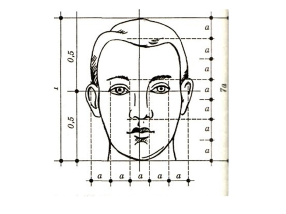 Изо 6 класс рисунок головы человека