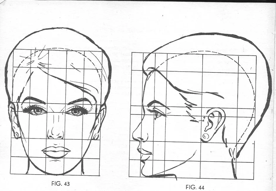Пропорции лица человека для рисования схема