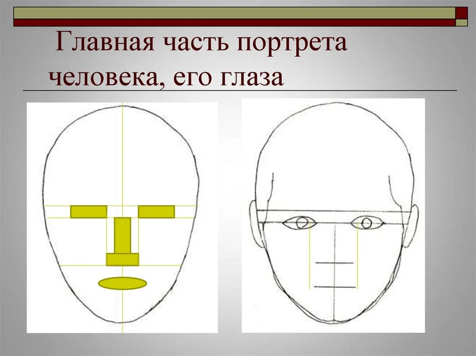 Схема головы человека рисунок 6 класс