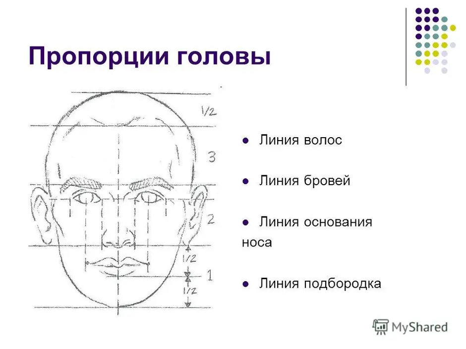 Рисунок частей лица 6 класс