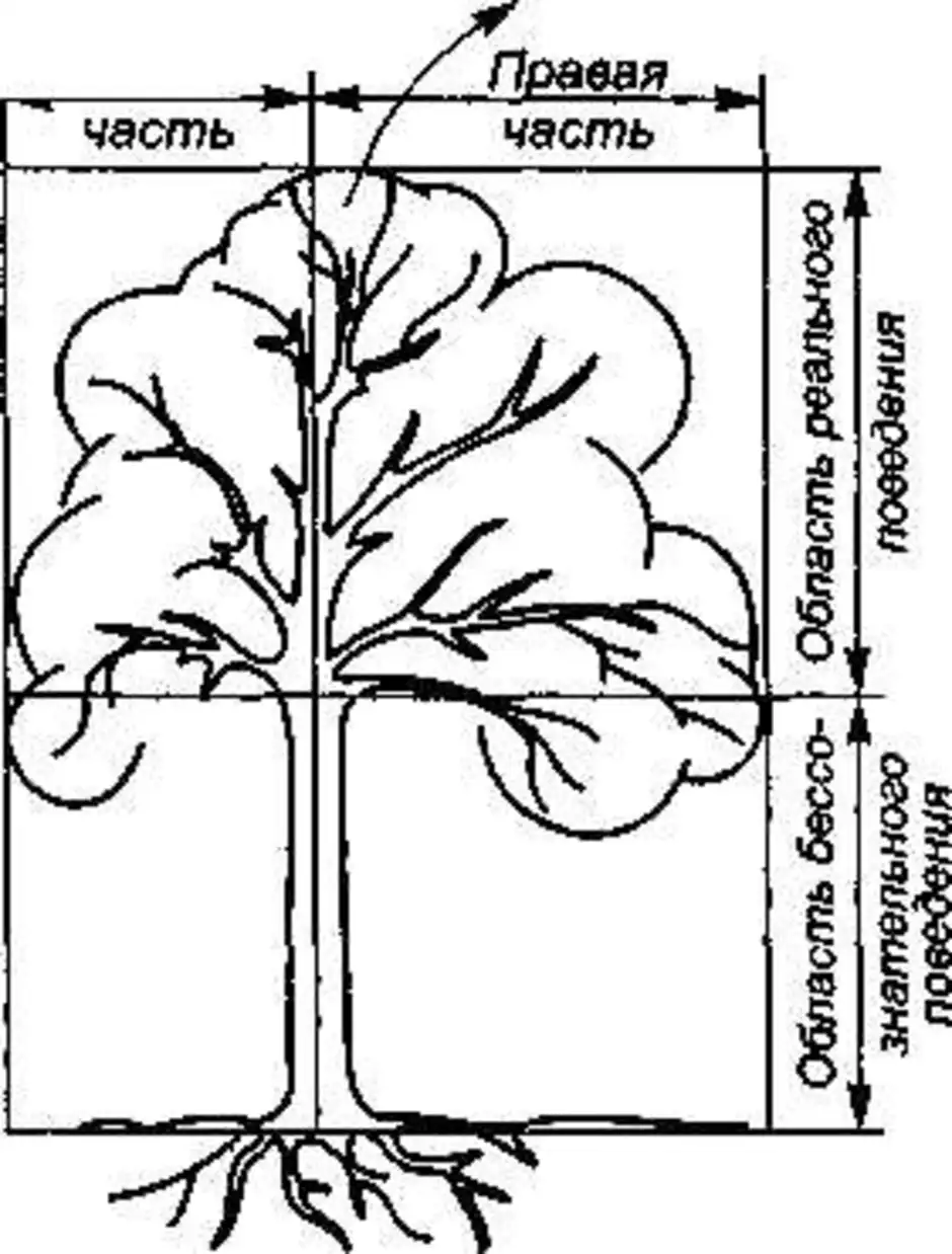 Рисунок дерева в психологии расшифровка