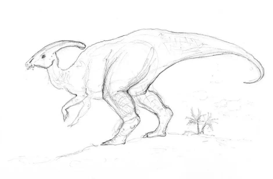 Картинки динозавров нарисовать. Рисунок динозавра карандашом для срисовки. Динозавр рисунок. Динозавр карандашом. Динозавры карандашом для срисовки.