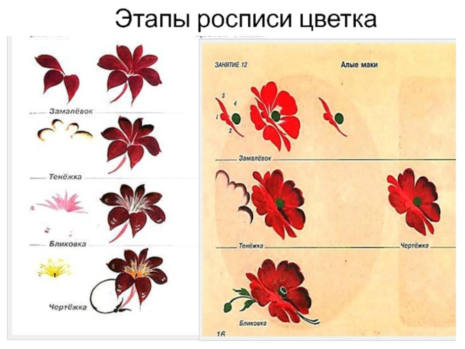 Этапы росписи. Жостово роспись элементы росписи. Таблица элементов Жостовской росписи. Жостово этапы росписи. Элементы и этапы Жостовской росписи.