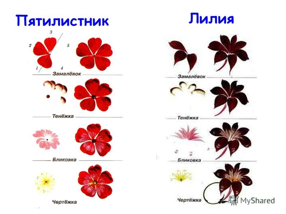 Этапы жостовской росписи в картинках с описанием