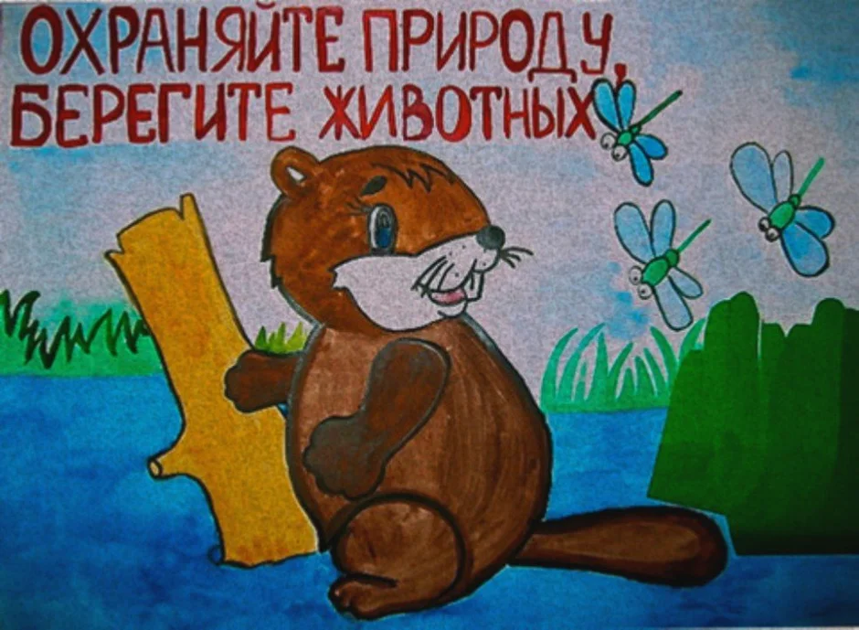 Нарисовать рисунок по защите животных