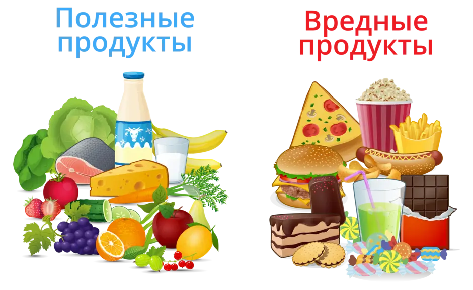 Полезные и вредные продукты питания