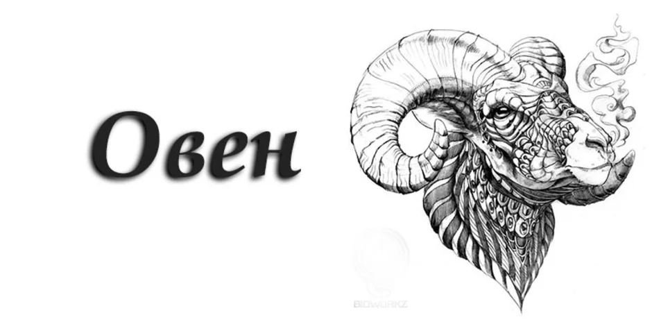 Знак овен мужчина картинки