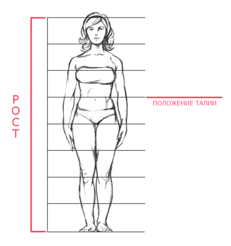Пропорции какая должна быть. Пропорции человека для рисования. Пропорции тела женщины. Красивые пропорции женского тела. Пропорции человека женщины.