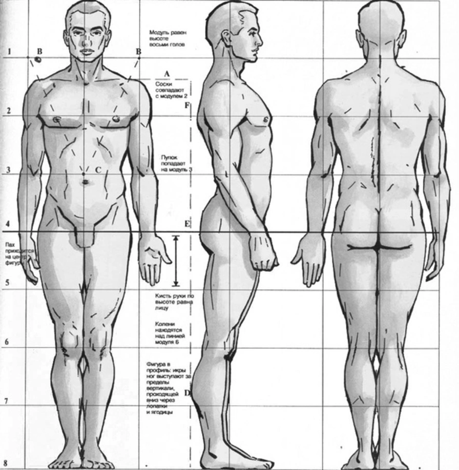 Схематический рисунок человека