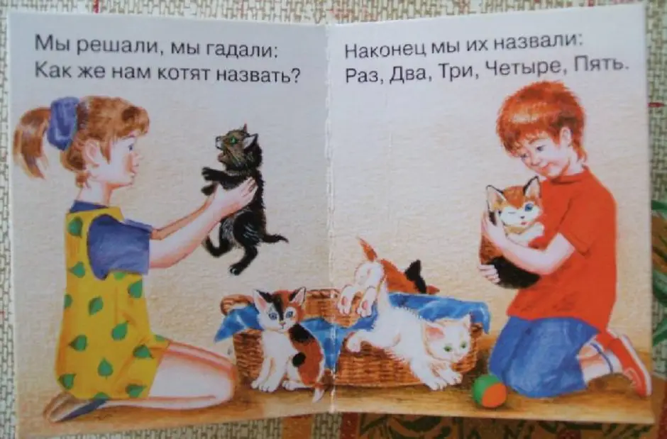 У маши живут 5 котят. Котята стихотворение Михалкова. Иллюстрация к стихотворению котенок. Иллюстрация к стихотворению Михалкова котята.