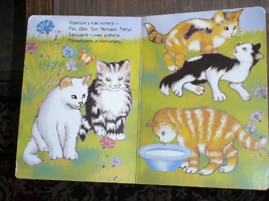 В каких произведениях есть котенок. Стихотворение котята. Детская книжка про котенка.