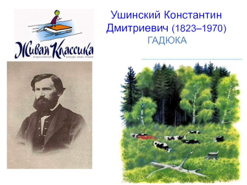 Рассказы ушинского о природе. Рассказ гадюка Ушинский.