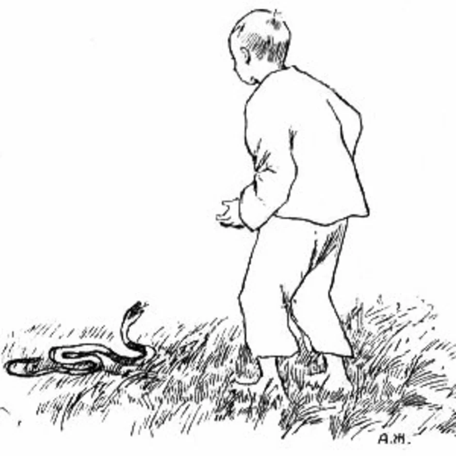 Крылов басни змея. Рассказ гадюка Ушинского. Иллюстрация к басне Крылова мальчик и змея. Басня мальчик и змея Крылов.