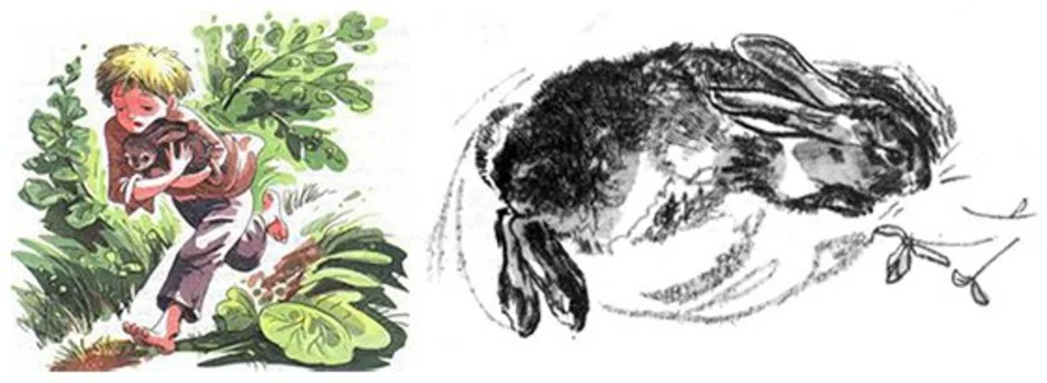 Заячьи лапы паустовский картинки к рассказу