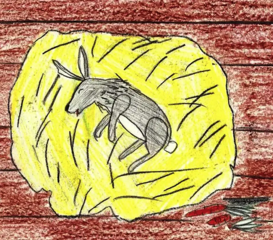 Иллюстрация к заячьи лапы паустовский