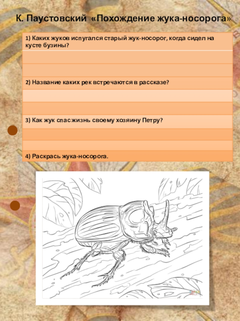 Сказка о жуке носороге паустовский