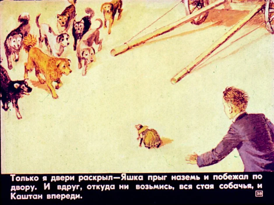 Описание обезьянки из рассказа житкова про обезьянку. Яшка Житков. Иллюстрация к произведению про обезьянку.