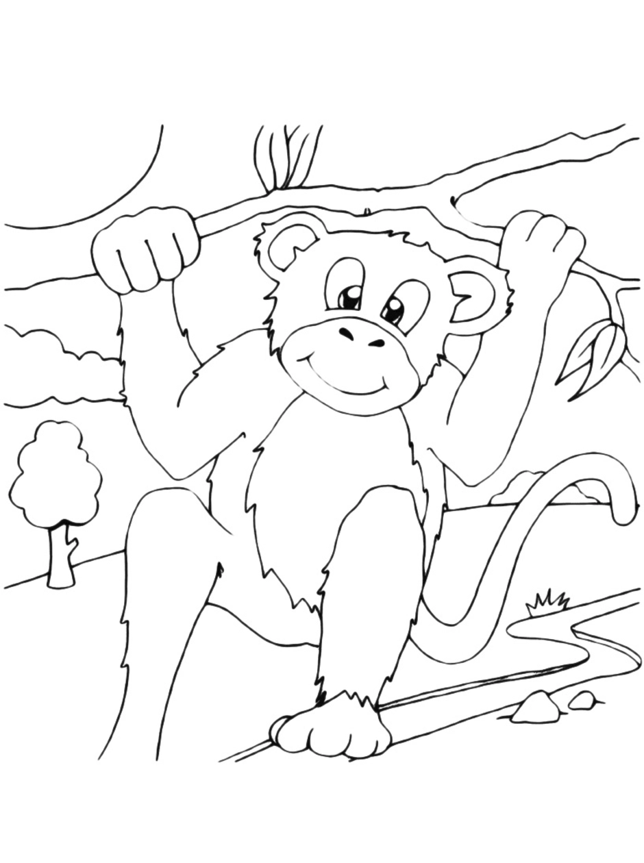 Рисунок про обезьянку 3 класс литературное чтение. Обезьяна раскраска. Мартышка раскраска. Шимпанзе раскраска для детей. Обезьянка раскраска для детей.