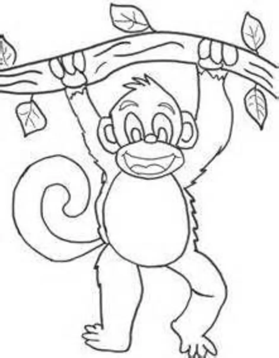 Рисунок про обезьянку житков. Обезьянка раскраска. Раскраска обезьянка 3 кл. Обезьяна карандашом. Обезьяна рисунок карандашом.