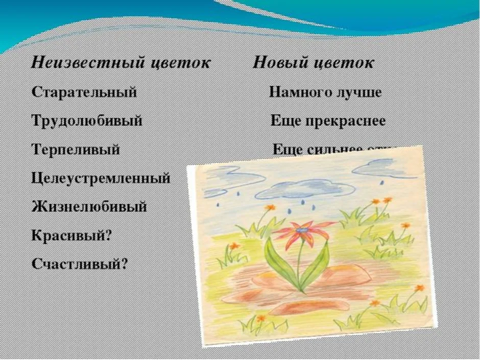 Пересказ сказки неизвестный цветок. Сказка неизвестный цветок. Платонов а. "неизвестный цветок". Рассказ неизвестный цветок. Описание рассказа неизвестный цветок.